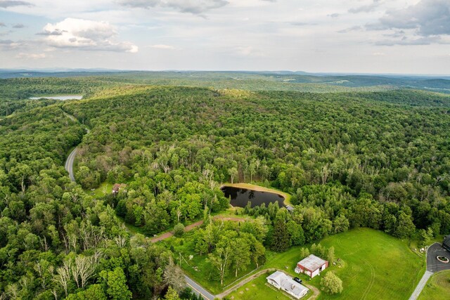 922 Hankins Rd, Roscoe, NY 12736 - photo 9