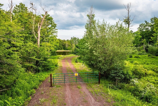922 Hankins Rd, Roscoe, NY 12736 - photo 11