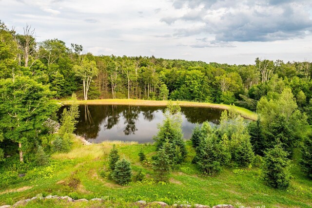 922 Hankins Rd, Roscoe, NY 12736 - photo 13