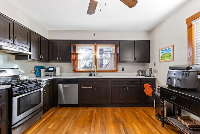 kitchen with stainless steel appliances, light wood-type flooring, a healthy amount of sunlight, and dark brown cabinetry