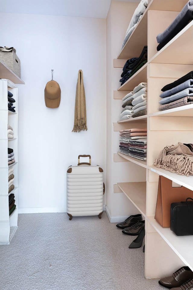 walk in closet with carpet floors