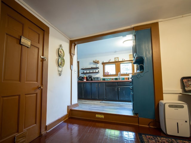 interior space featuring dark hardwood / wood-style floors and sink