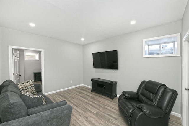 living room with hardwood / wood-style flooring