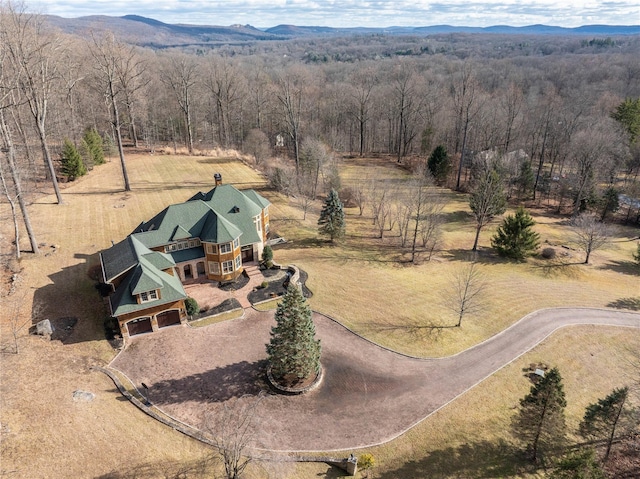 drone / aerial view featuring a mountain view