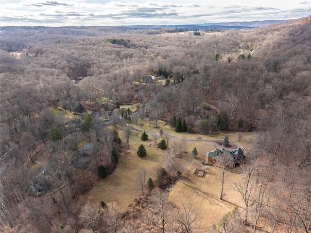 birds eye view of property featuring a mountain view and a rural view