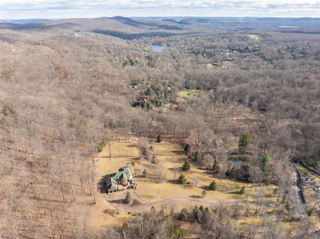 drone / aerial view with a mountain view