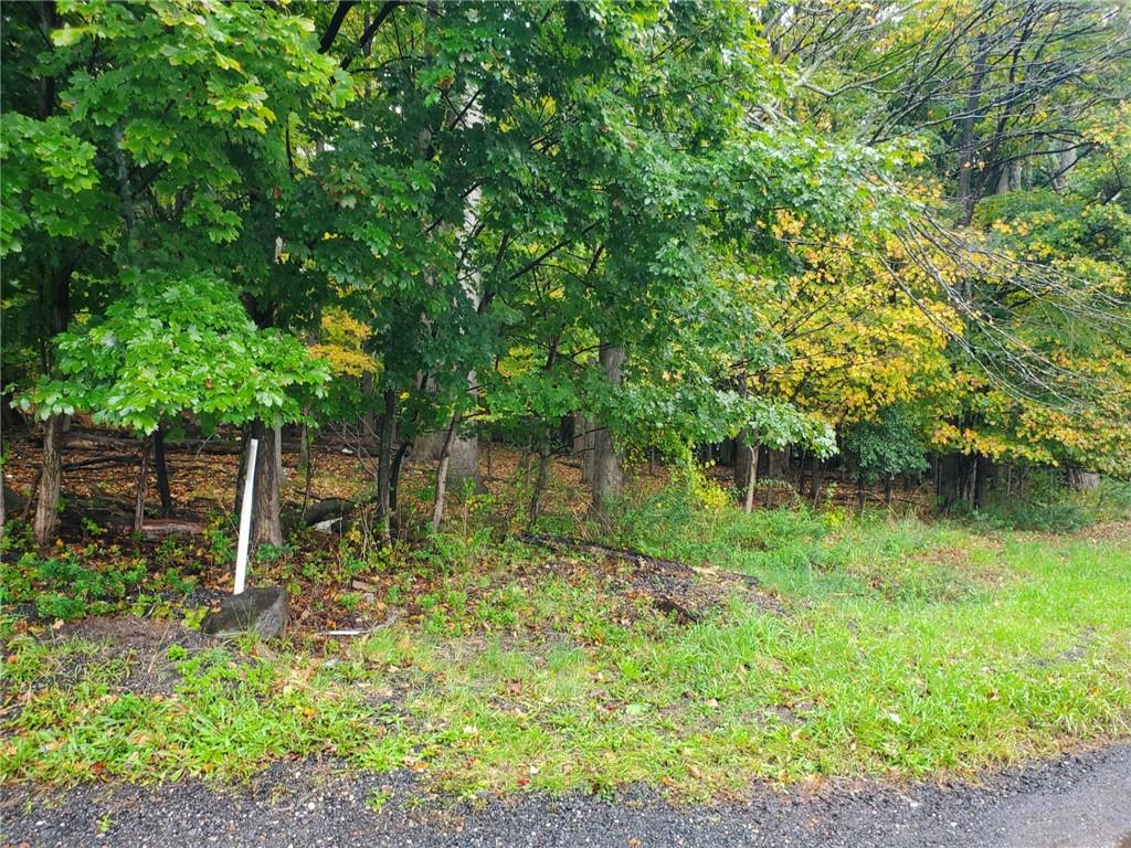 613 Rte 303, Blauvelt, NY 10913 - photo 2