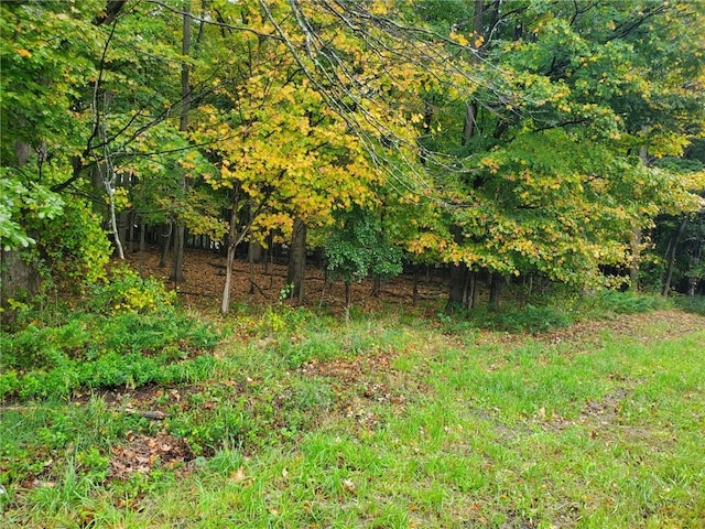 613 Rte 303, Blauvelt, NY 10913 - photo 4