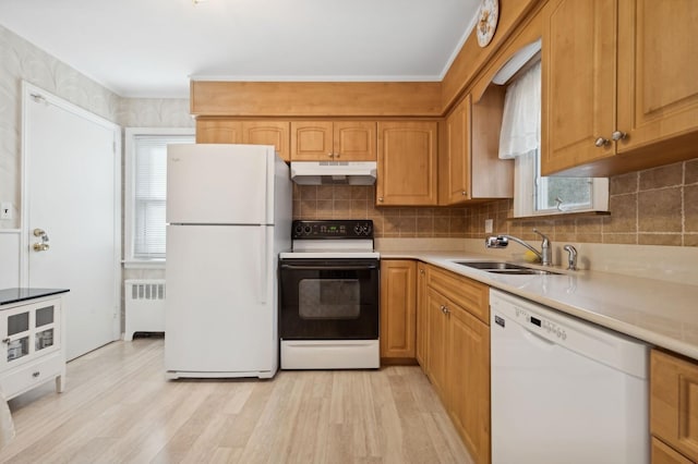 kitchen featuring sink, white appliances, radiator heating unit, and a healthy amount of sunlight