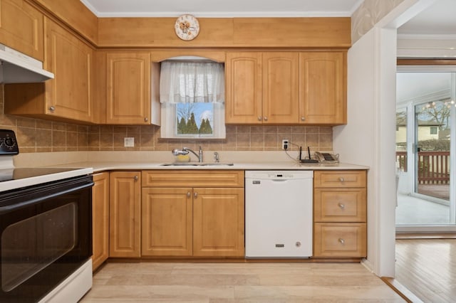 kitchen with dishwasher, light hardwood / wood-style floors, electric stove, plenty of natural light, and sink