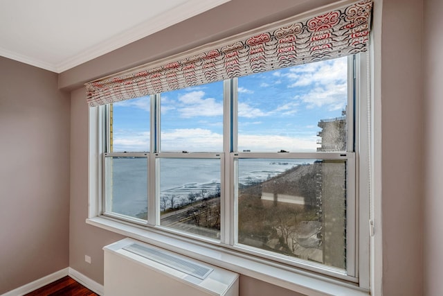 room details with a water view, ornamental molding, and wood-type flooring