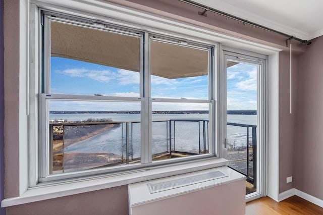 room details featuring hardwood / wood-style flooring, a water view, and crown molding