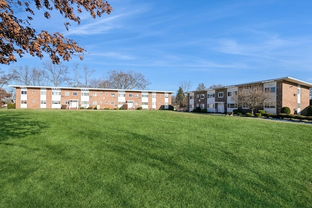 view of community with a yard