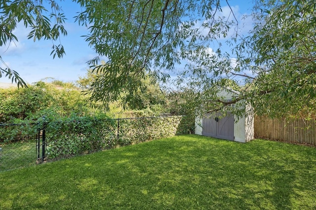 view of yard featuring a shed