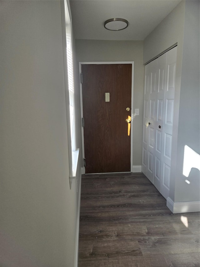 entryway featuring dark hardwood / wood-style flooring