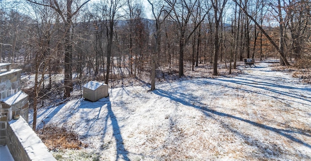 snowy yard with a storage unit