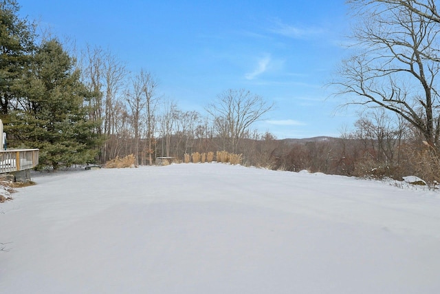 view of yard layered in snow