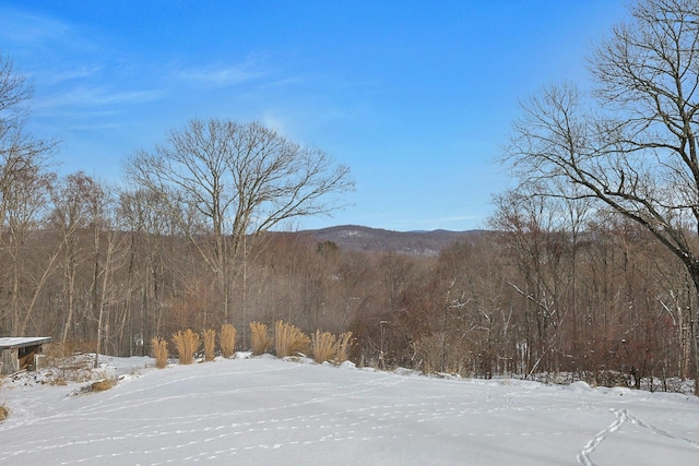 view of mountain feature