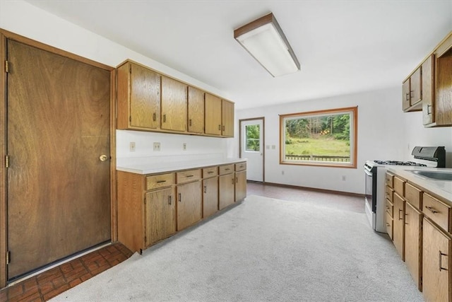 kitchen with stainless steel range oven and light colored carpet