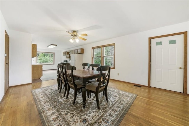 dining area with ceiling fan, plenty of natural light, and light wood-type flooring