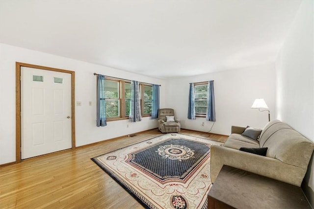 living room featuring a wealth of natural light and wood-type flooring