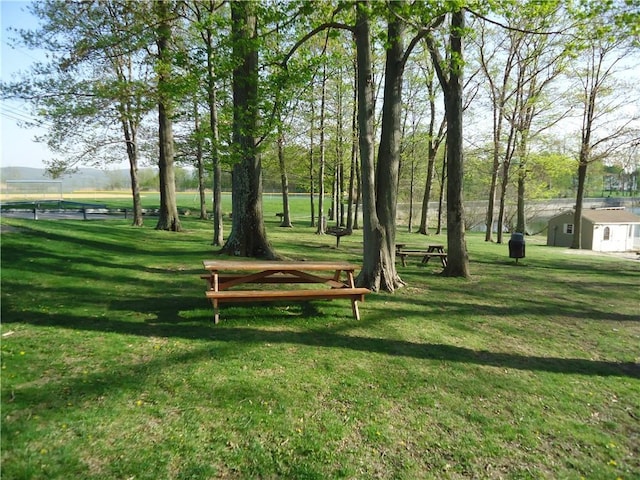 view of community with a yard