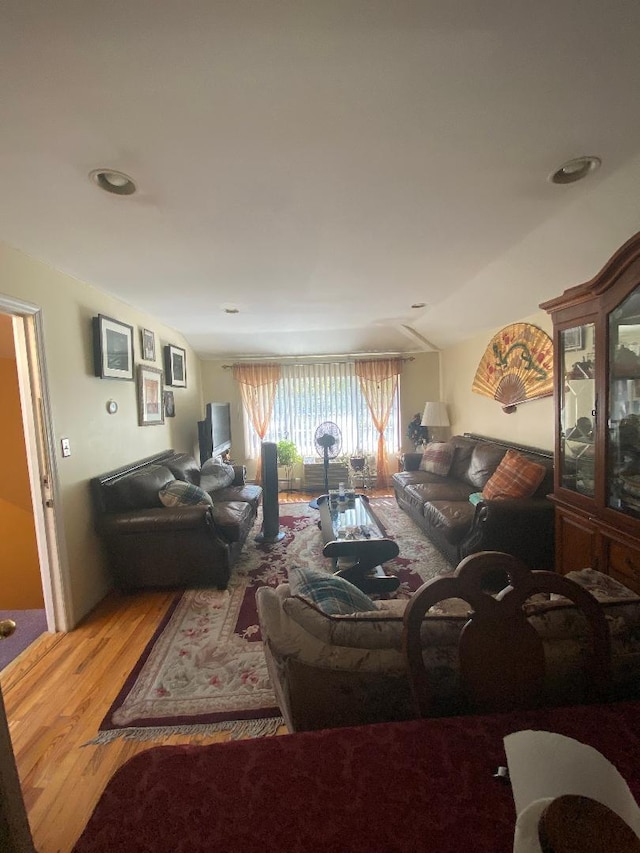 living room featuring wood-type flooring