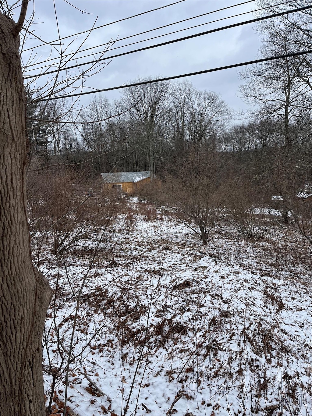 view of yard covered in snow