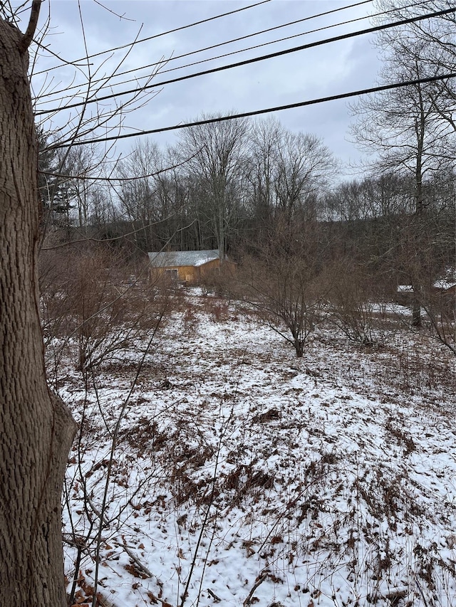 view of yard covered in snow