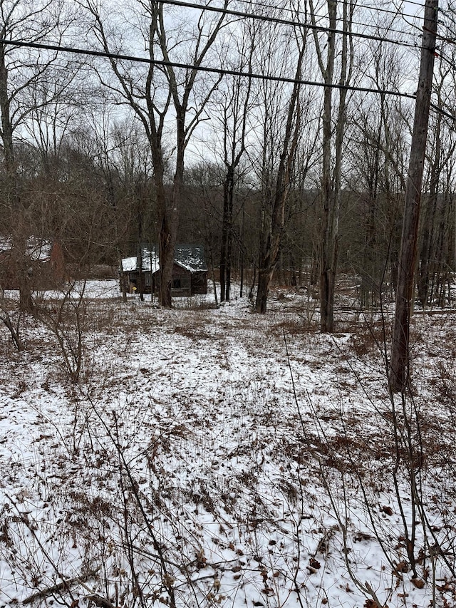 view of snowy yard