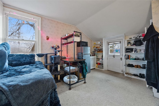 carpeted bedroom with fridge and vaulted ceiling