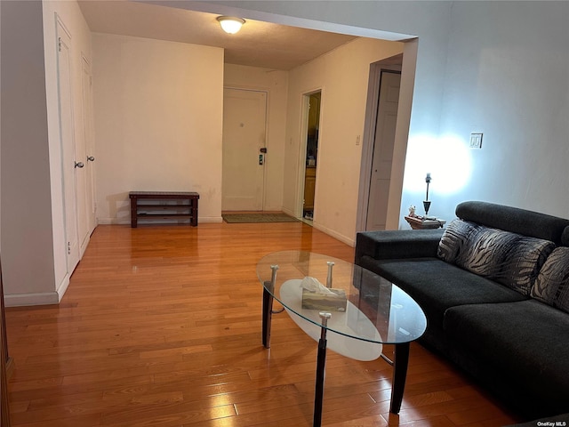 living room with light hardwood / wood-style flooring