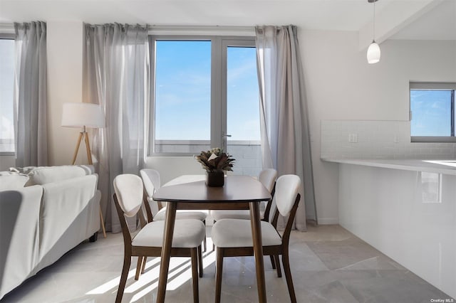 dining room featuring plenty of natural light