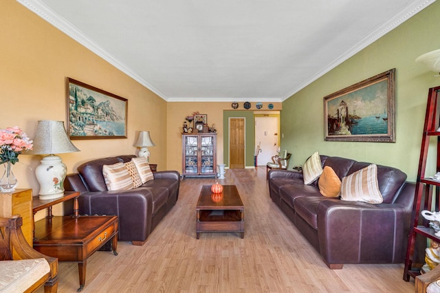 living room featuring light hardwood / wood-style floors and ornamental molding