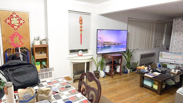 living room with light hardwood / wood-style floors and radiator