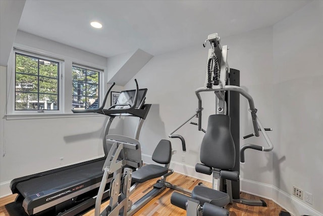 exercise room featuring hardwood / wood-style floors