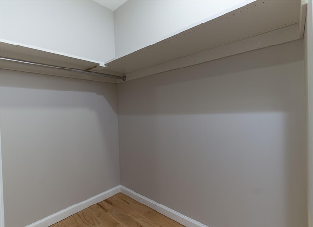 spacious closet featuring wood-type flooring