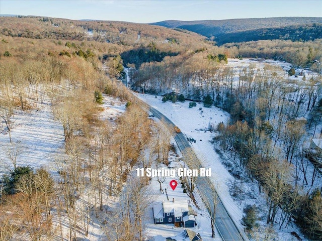 snowy aerial view featuring a mountain view