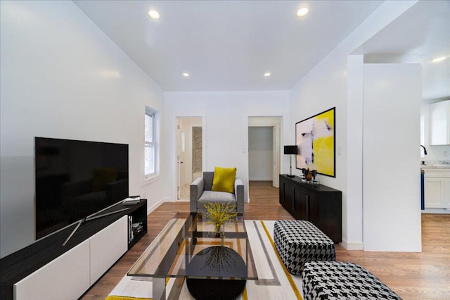 living room featuring light hardwood / wood-style flooring