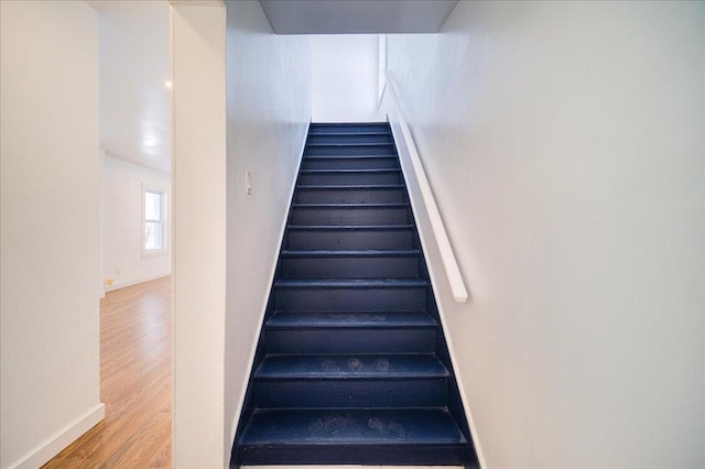 staircase with wood-type flooring