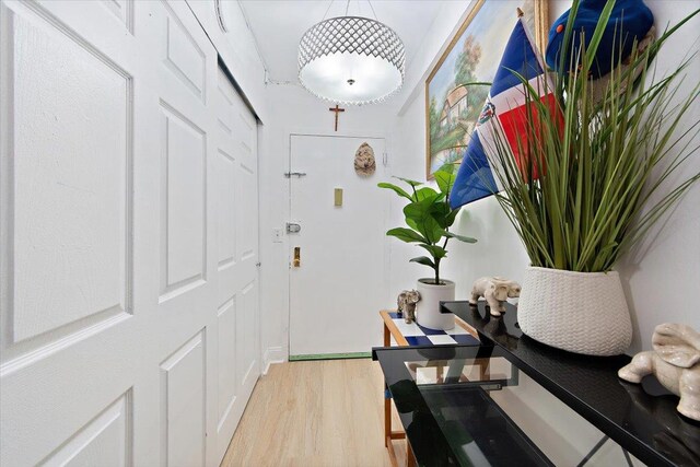 entryway featuring hardwood / wood-style floors