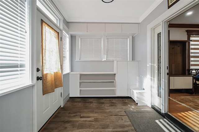 mudroom featuring ornamental molding and dark wood-style floors