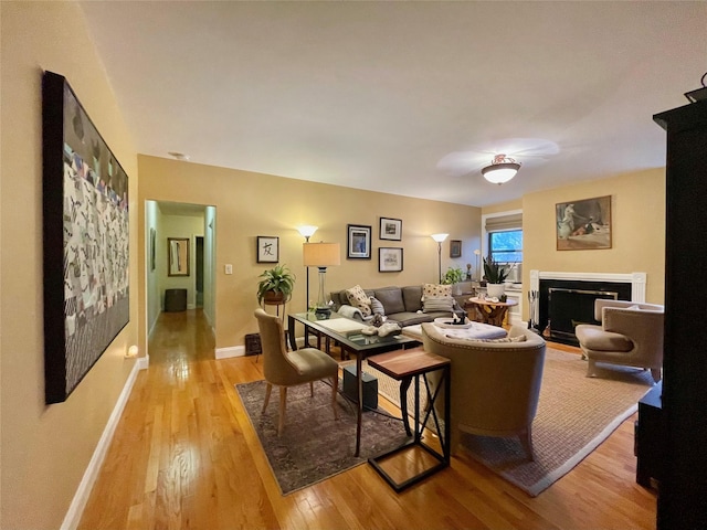 living room with light wood-type flooring