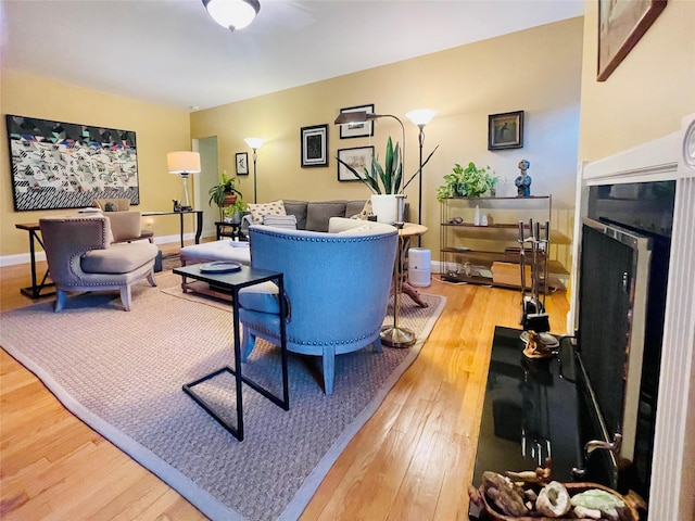 living room featuring light hardwood / wood-style flooring