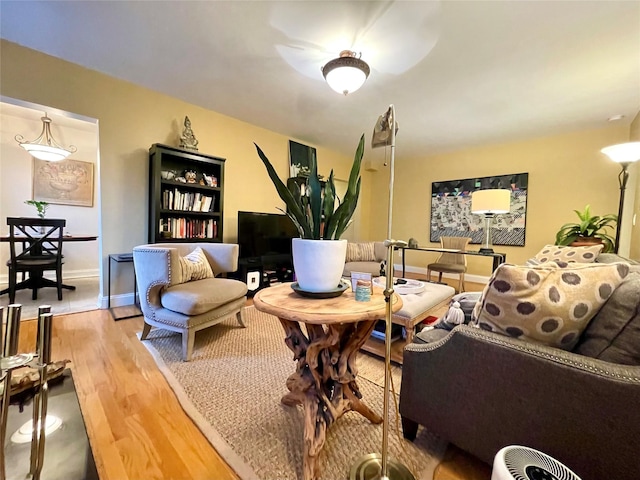 living room with hardwood / wood-style floors