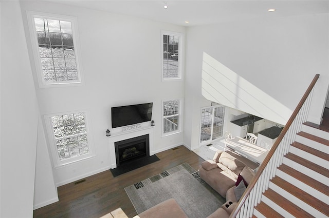 living room featuring a towering ceiling and dark hardwood / wood-style floors