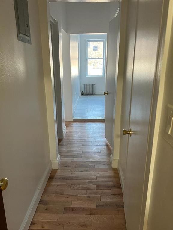 corridor featuring radiator, dark hardwood / wood-style flooring, and electric panel