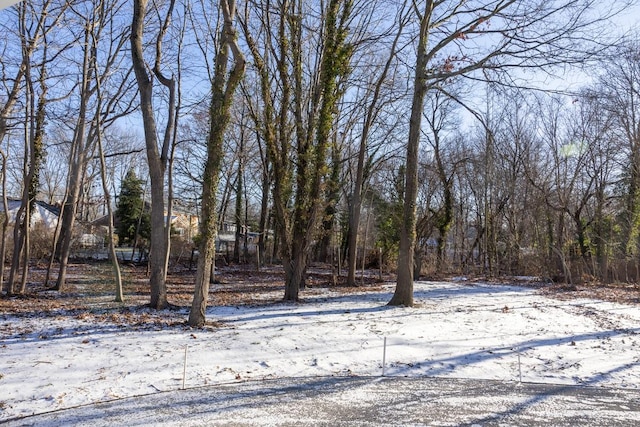 view of yard covered in snow