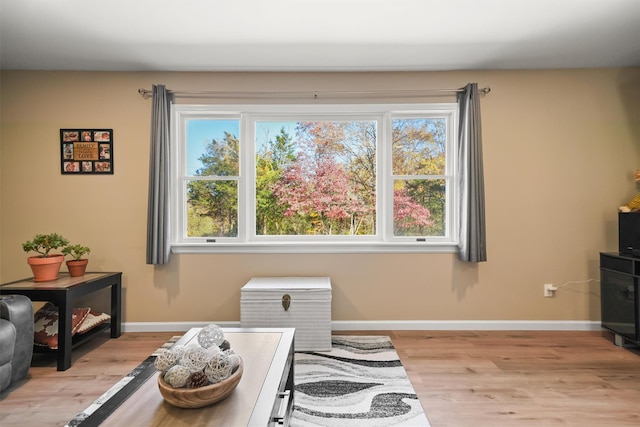 sitting room with a wealth of natural light and light hardwood / wood-style flooring