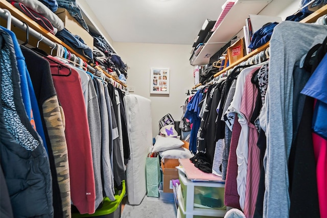 view of spacious closet